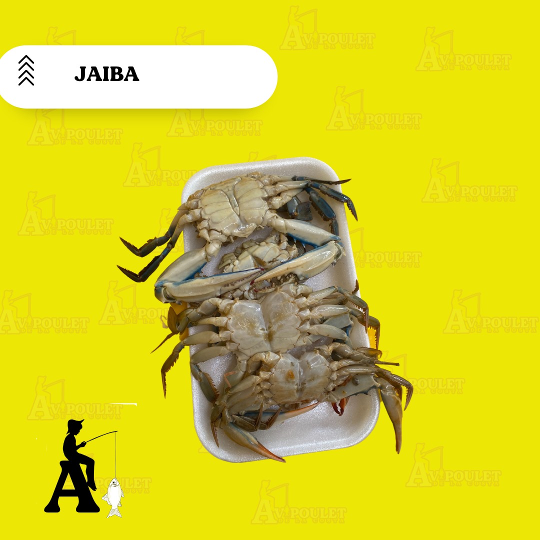 JAIBA