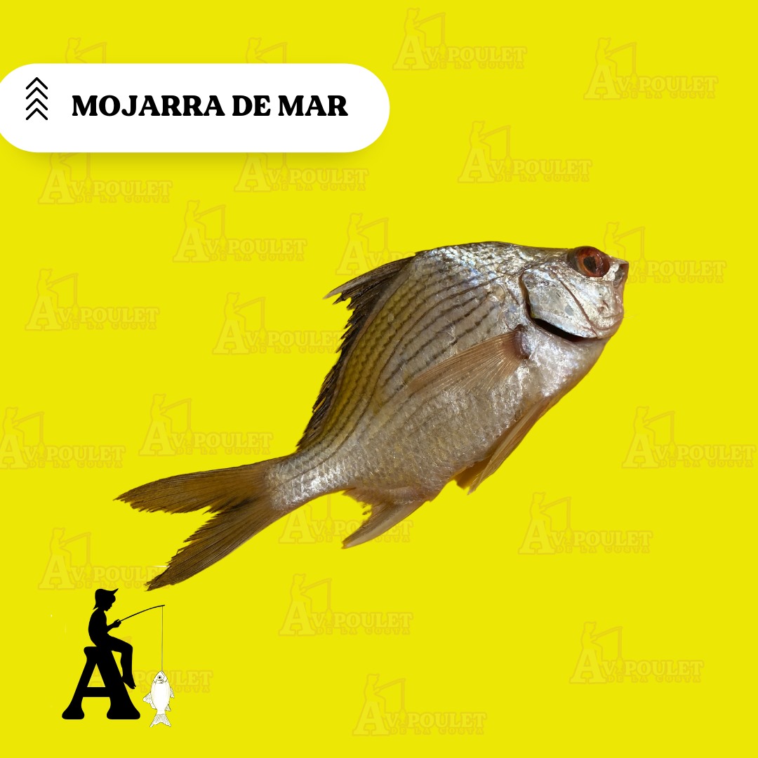 MOJARRA DE MAR