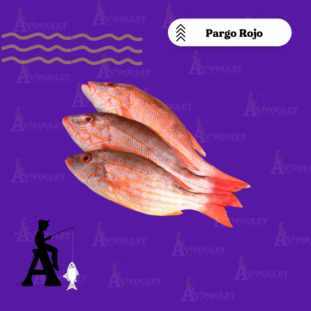 PARGO ROJO