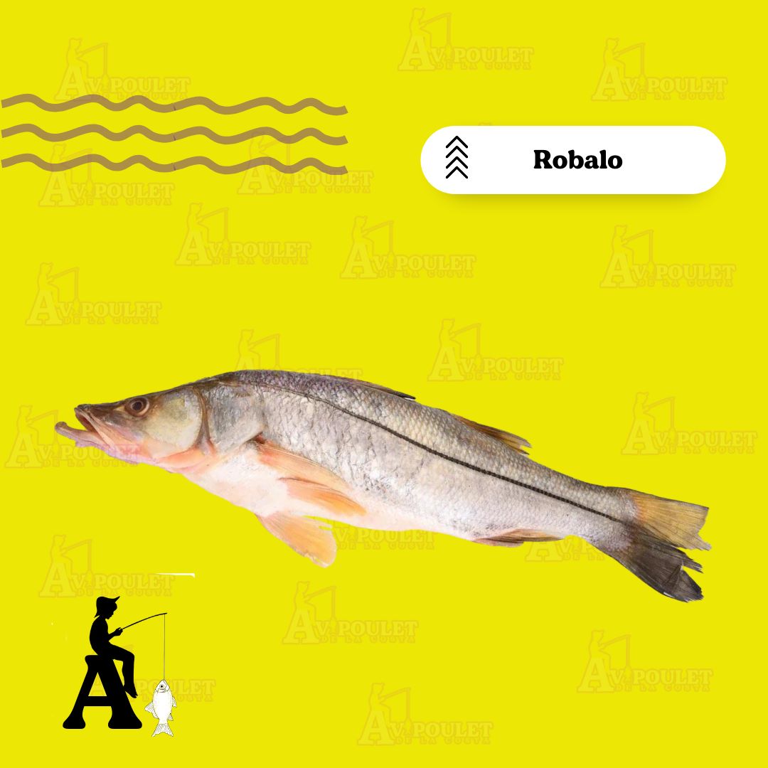 ROBALO